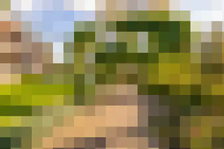 Oosterakker 12 de Wijk thumbnail 56