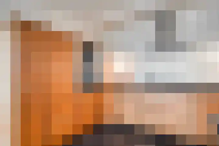 Oosterakker 16 de Wijk thumbnail 17