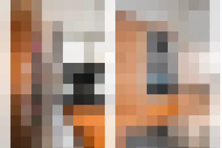 Oosterakker 16 de Wijk thumbnail 18