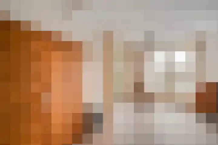 Oosterakker 16 de Wijk thumbnail 21