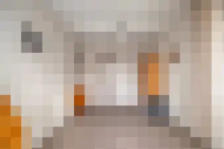 Oosterakker 16 de Wijk thumbnail 22