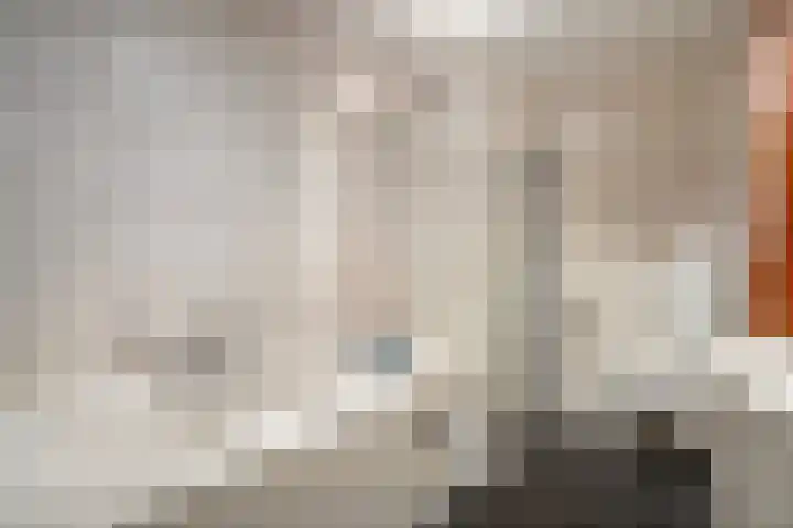Oosterakker 16 de Wijk thumbnail 26