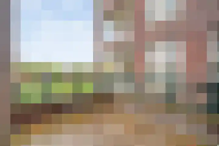 Oosterakker 16 de Wijk thumbnail 29