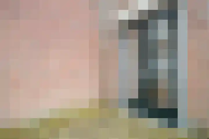 Oosterakker 16 de Wijk thumbnail 30