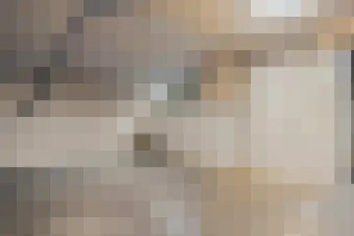 Oosterakker 16 de Wijk thumbnail 32