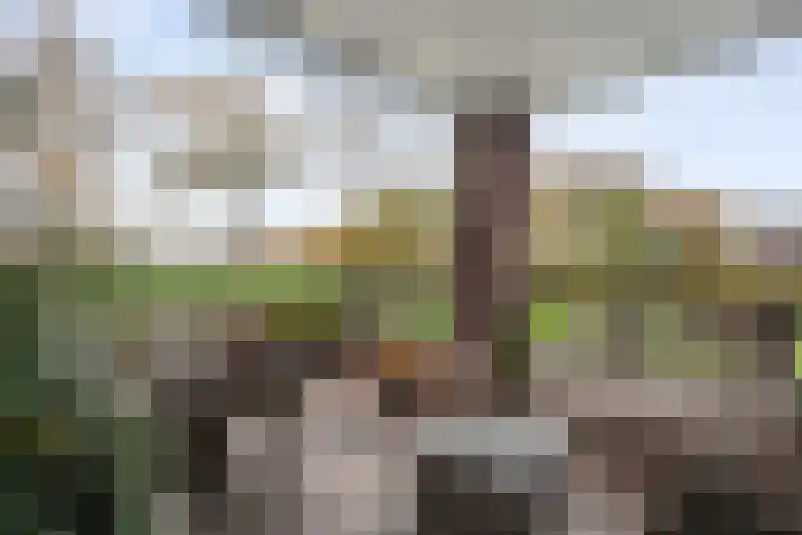 Oosterakker 16 de Wijk thumbnail 33