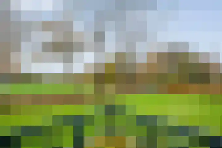 Oosterakker 16 de Wijk thumbnail 35