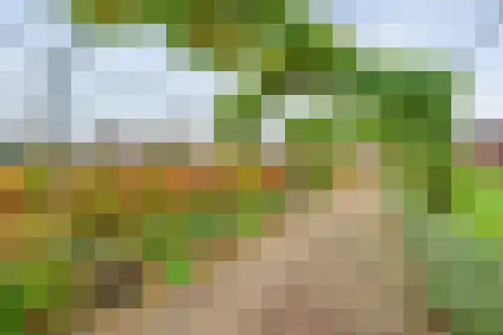 Oosterakker 16 de Wijk thumbnail 36