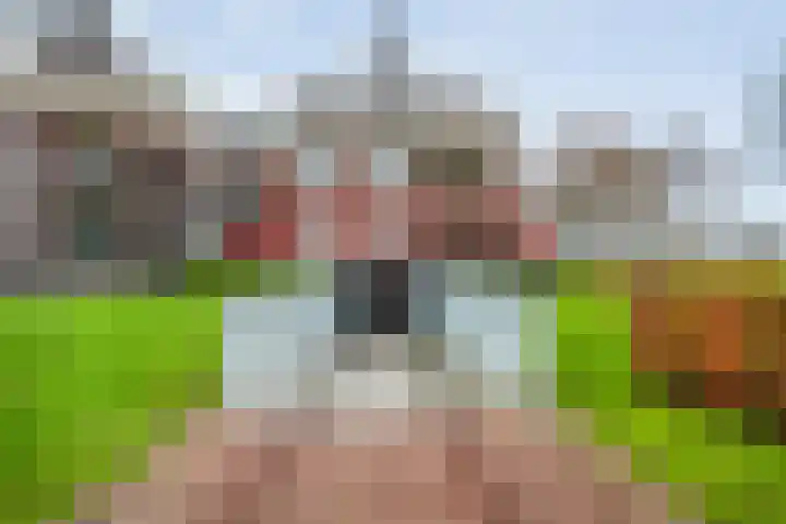 Oosterakker 16 de Wijk thumbnail 37