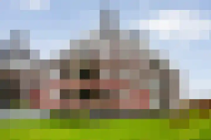 Oosterakker 16 de Wijk thumbnail 40