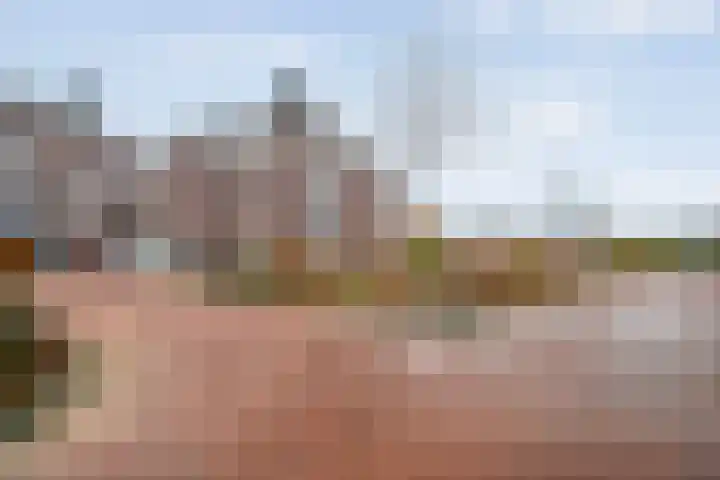 Oosterakker 16 de Wijk thumbnail 42
