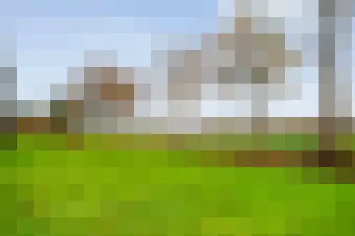 Oosterakker 16 de Wijk thumbnail 43