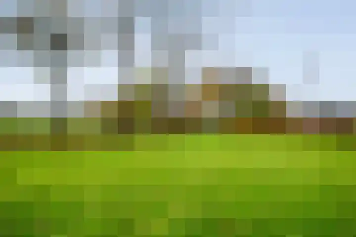 Oosterakker 16 de Wijk thumbnail 44