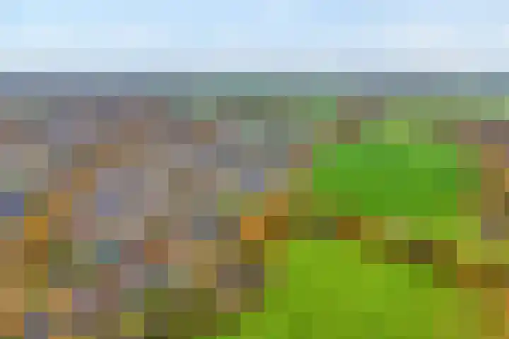 Oosterakker 16 de Wijk thumbnail 45