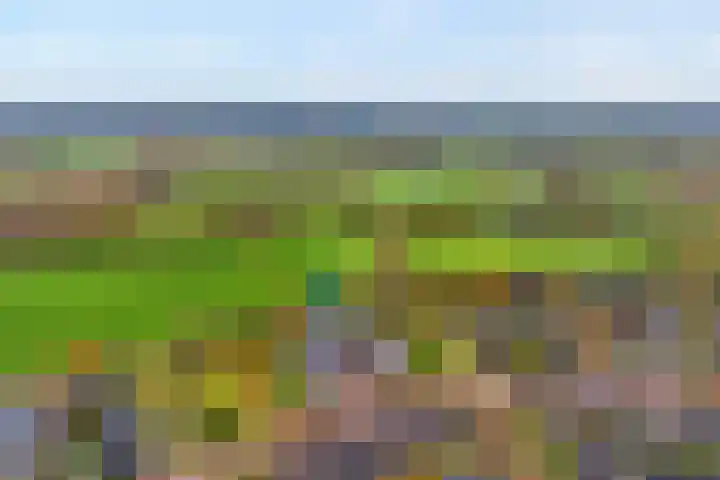 Oosterakker 16 de Wijk thumbnail 46