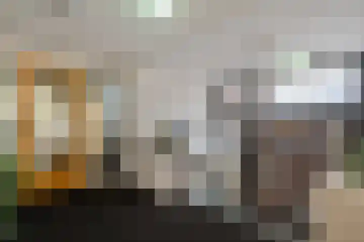 Oosterakker 16 de Wijk thumbnail 6