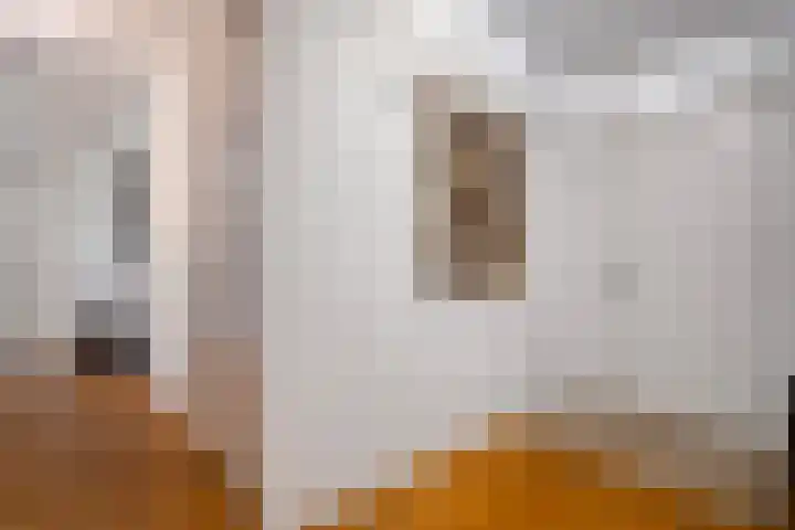 Oosterakker 16 de Wijk thumbnail 8