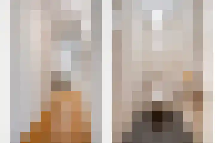 Oosterakker 16 de Wijk thumbnail 9
