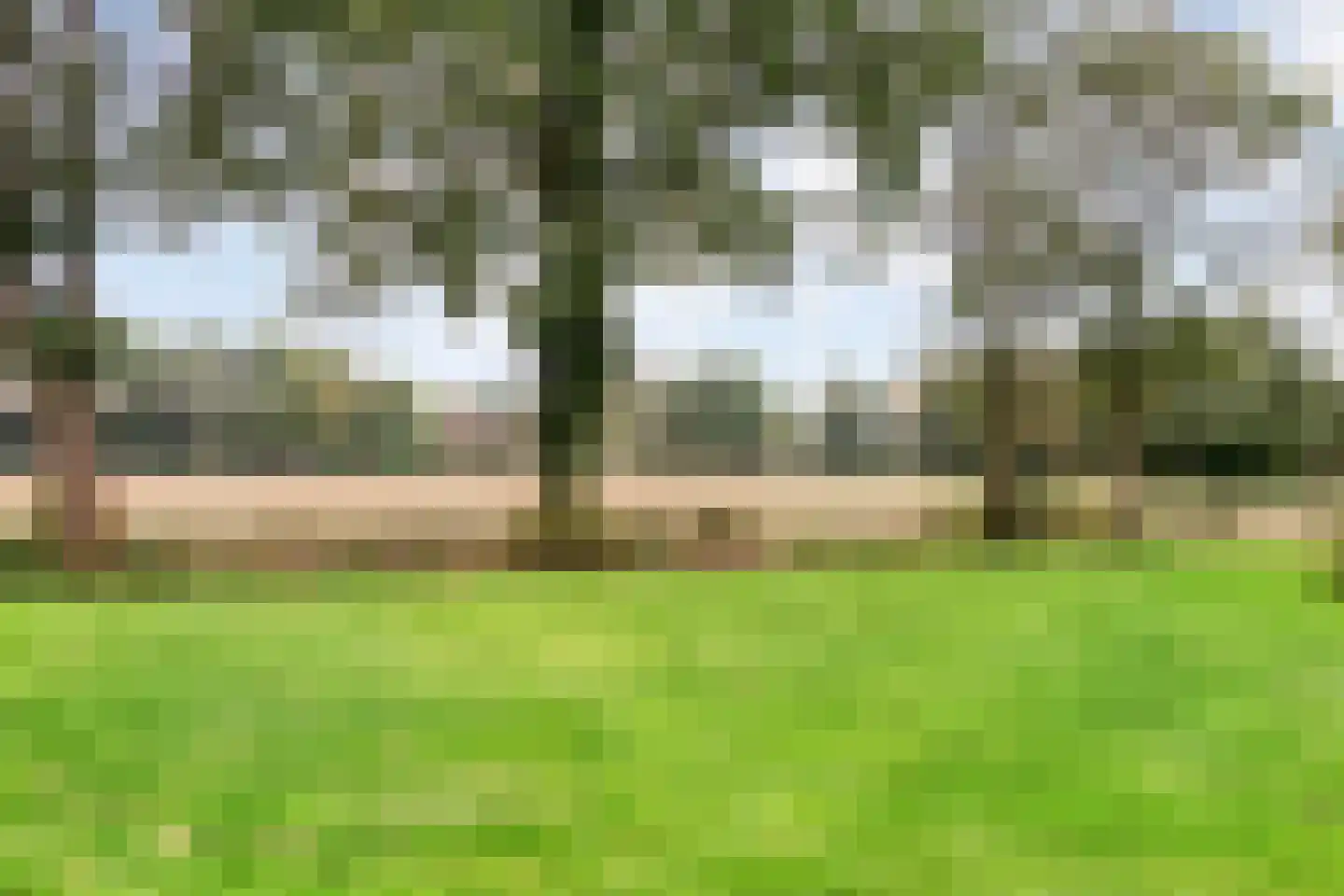 Oosterakker 24 de Wijk thumbnail 42