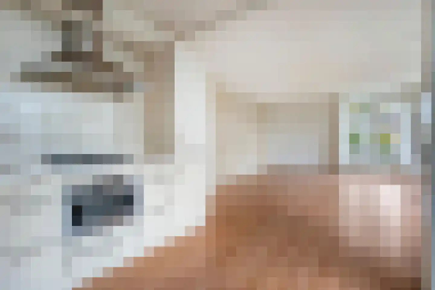Oosterakker 24 de Wijk thumbnail 9