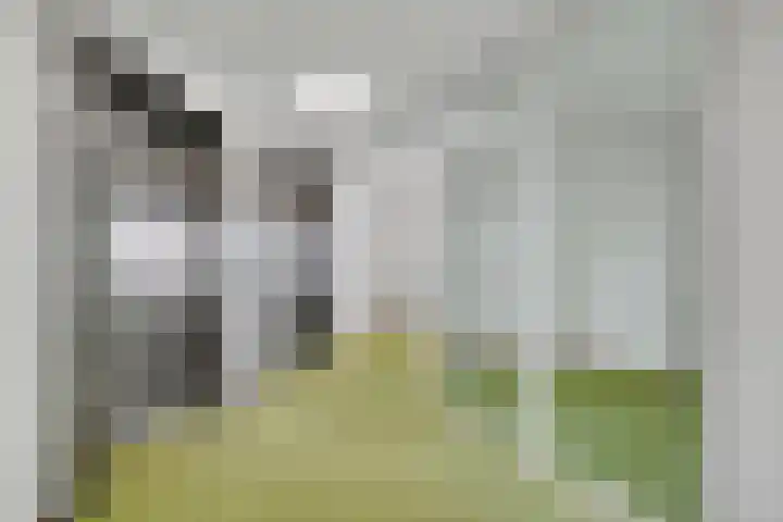 Oosterbakenpad 114 Hoogvliet Rotterdam thumbnail 9