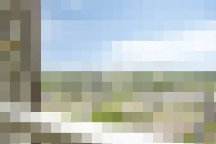 Oosterbakenpad 130 Hoogvliet Rotterdam thumbnail 16