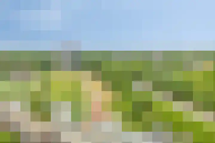 Oosterbakenpad 130 Hoogvliet Rotterdam thumbnail 23