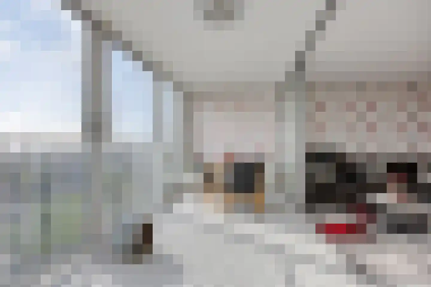 Oosterbakenpad 218 Hoogvliet Rotterdam thumbnail 5