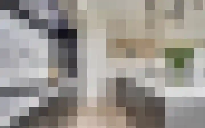Oosterbakenpad 236 Hoogvliet Rotterdam thumbnail 4