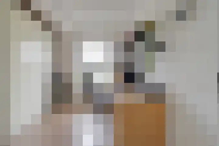 Oosterbakenpad 28 Hoogvliet Rotterdam thumbnail 14