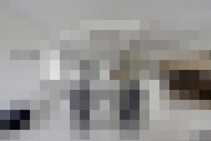 Oosterbakenpad 28 Hoogvliet Rotterdam thumbnail 6