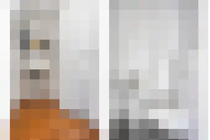 Oosterbakenpad 66 Hoogvliet Rotterdam thumbnail 12