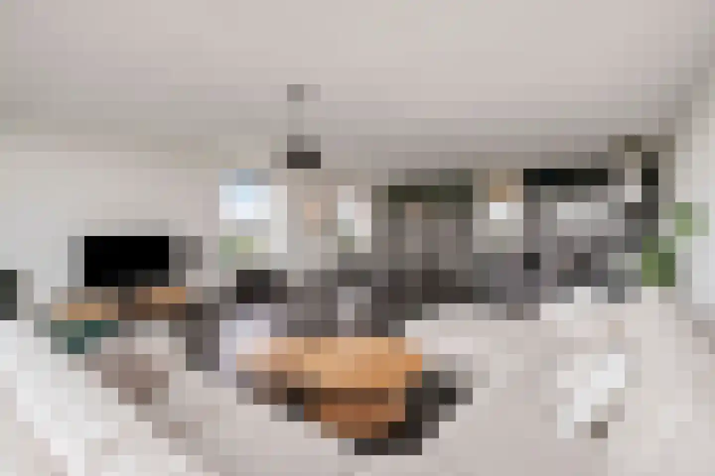 Oosterbakenpad 84 Hoogvliet Rotterdam thumbnail 7