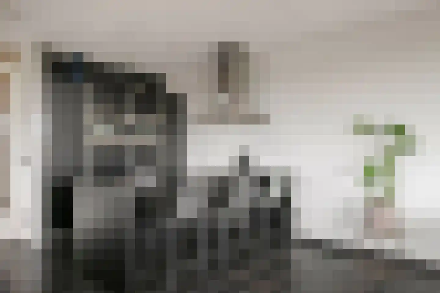 Oosterbakenpad 84 Hoogvliet Rotterdam thumbnail 8