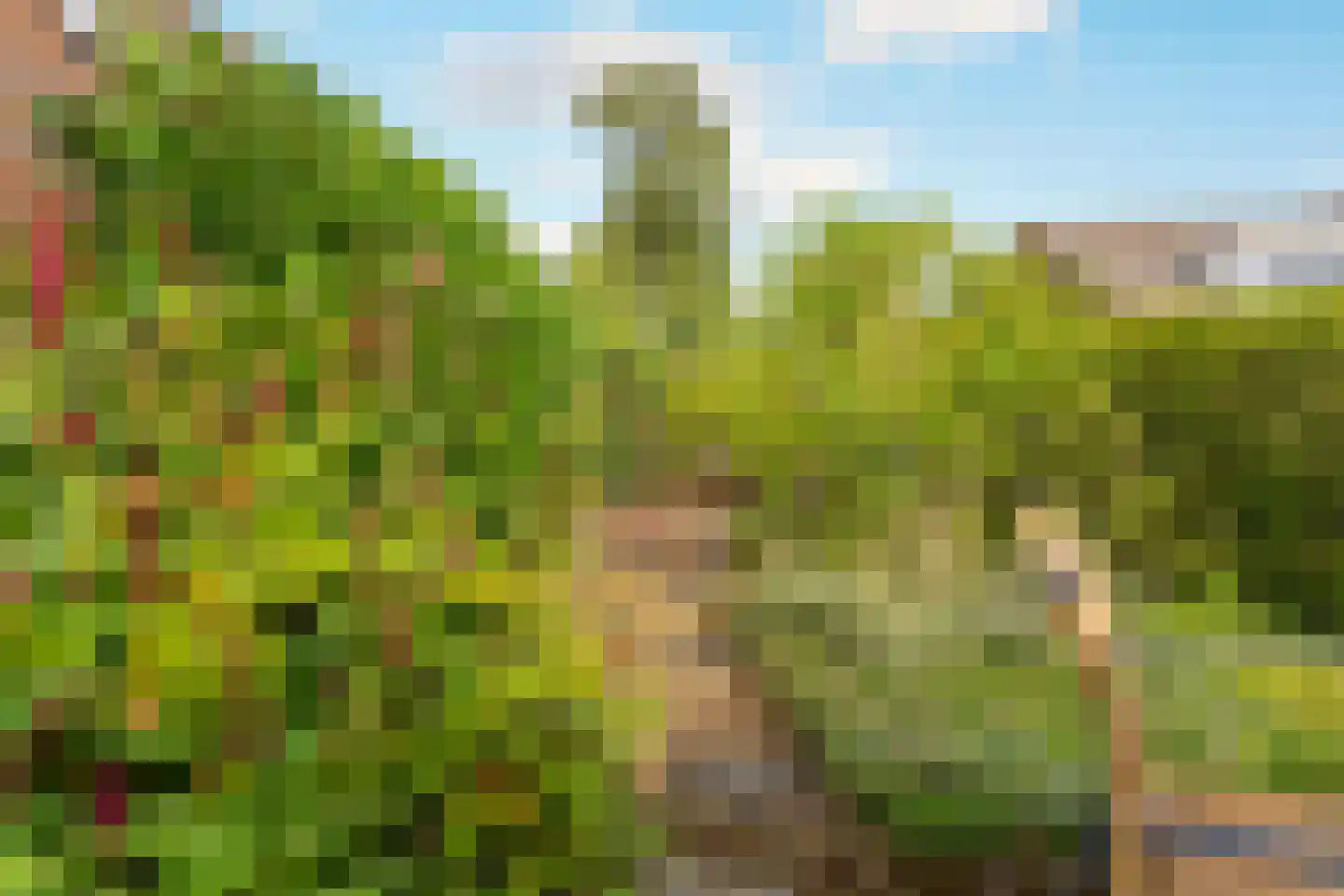 Oosterbeekplantsoen 12 Heemskerk thumbnail 16