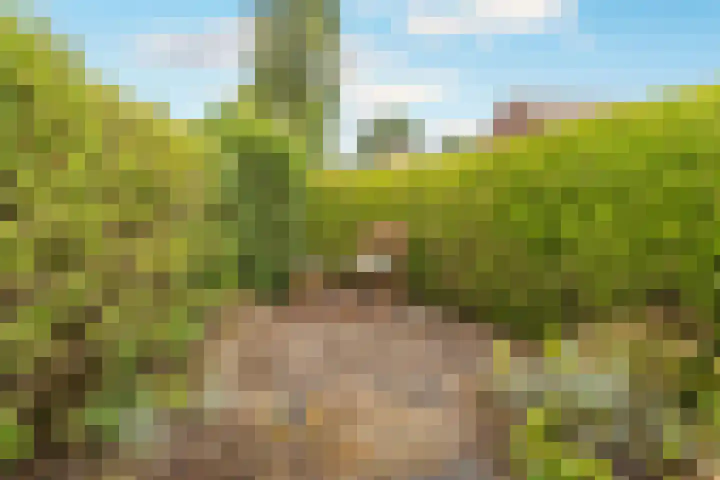 Oosterbeekplantsoen 12 Heemskerk thumbnail 17