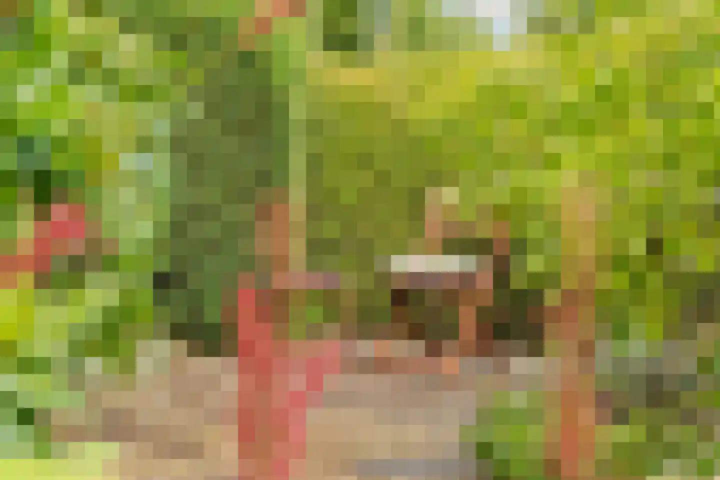 Oosterbeekplantsoen 12 Heemskerk thumbnail 21
