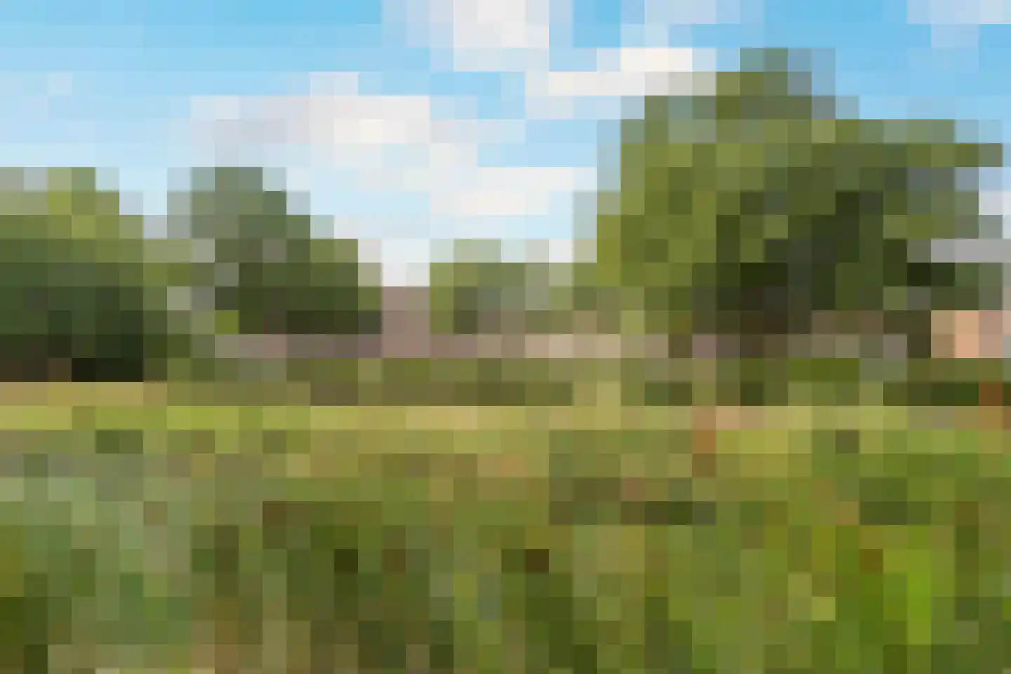 Oosterbeekplantsoen 12 Heemskerk thumbnail 45