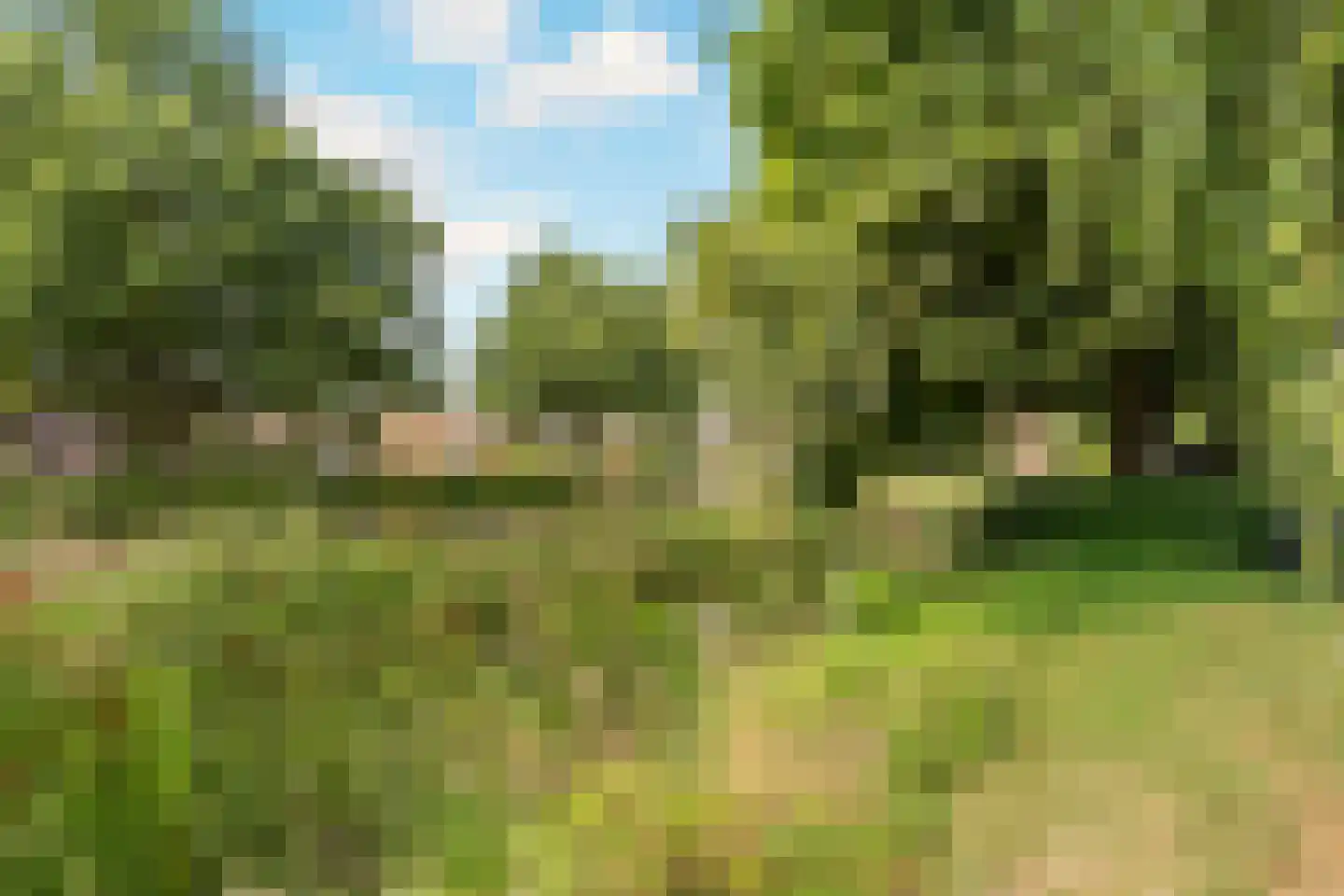 Oosterbeekplantsoen 12 Heemskerk thumbnail 46