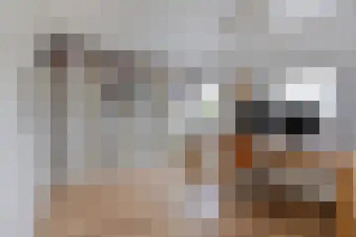 Oosterbeekstraat 13 Tilburg thumbnail 21