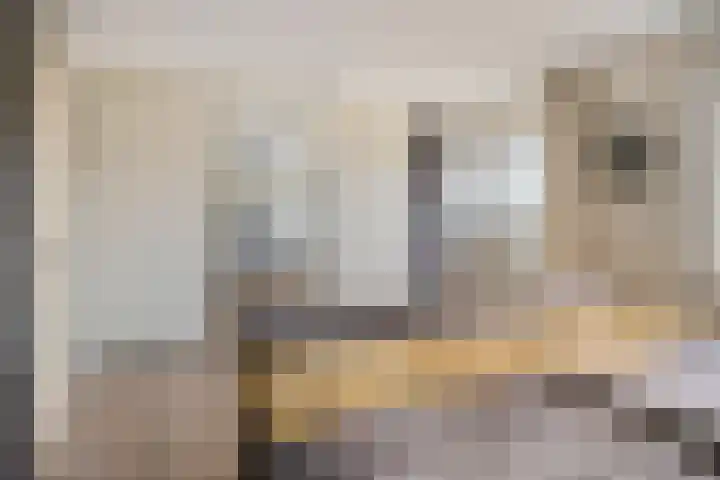 Oosterbeekstraat 33 Tilburg thumbnail 33