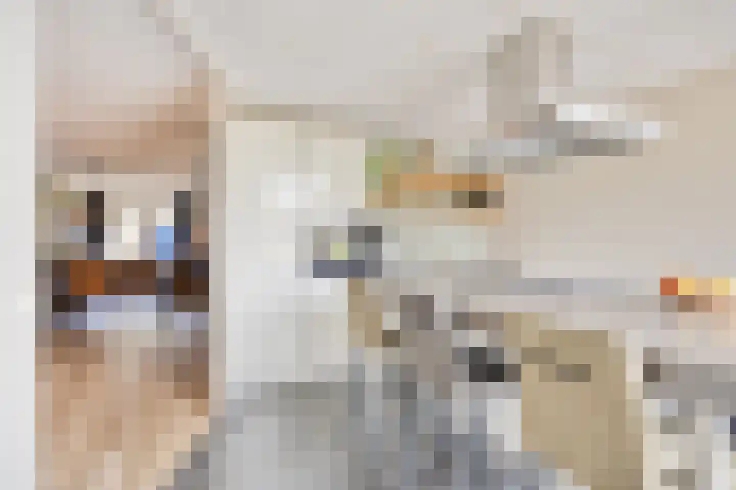 Oosterbeekstraat 5 Tilburg thumbnail 11