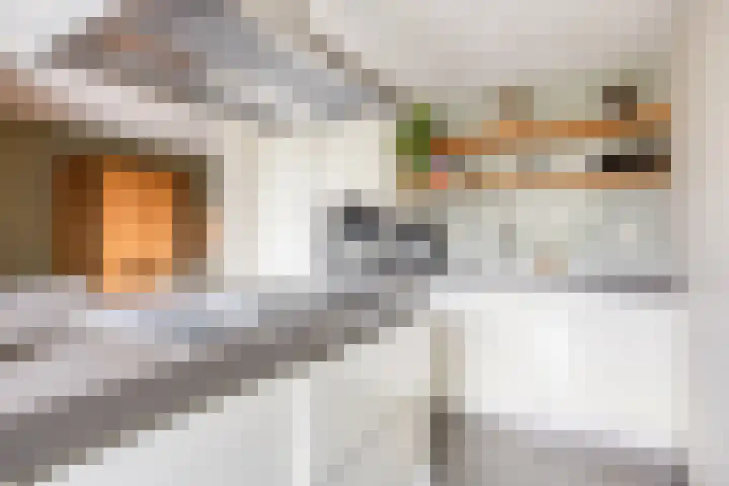 Oosterbeekstraat 5 Tilburg thumbnail 12
