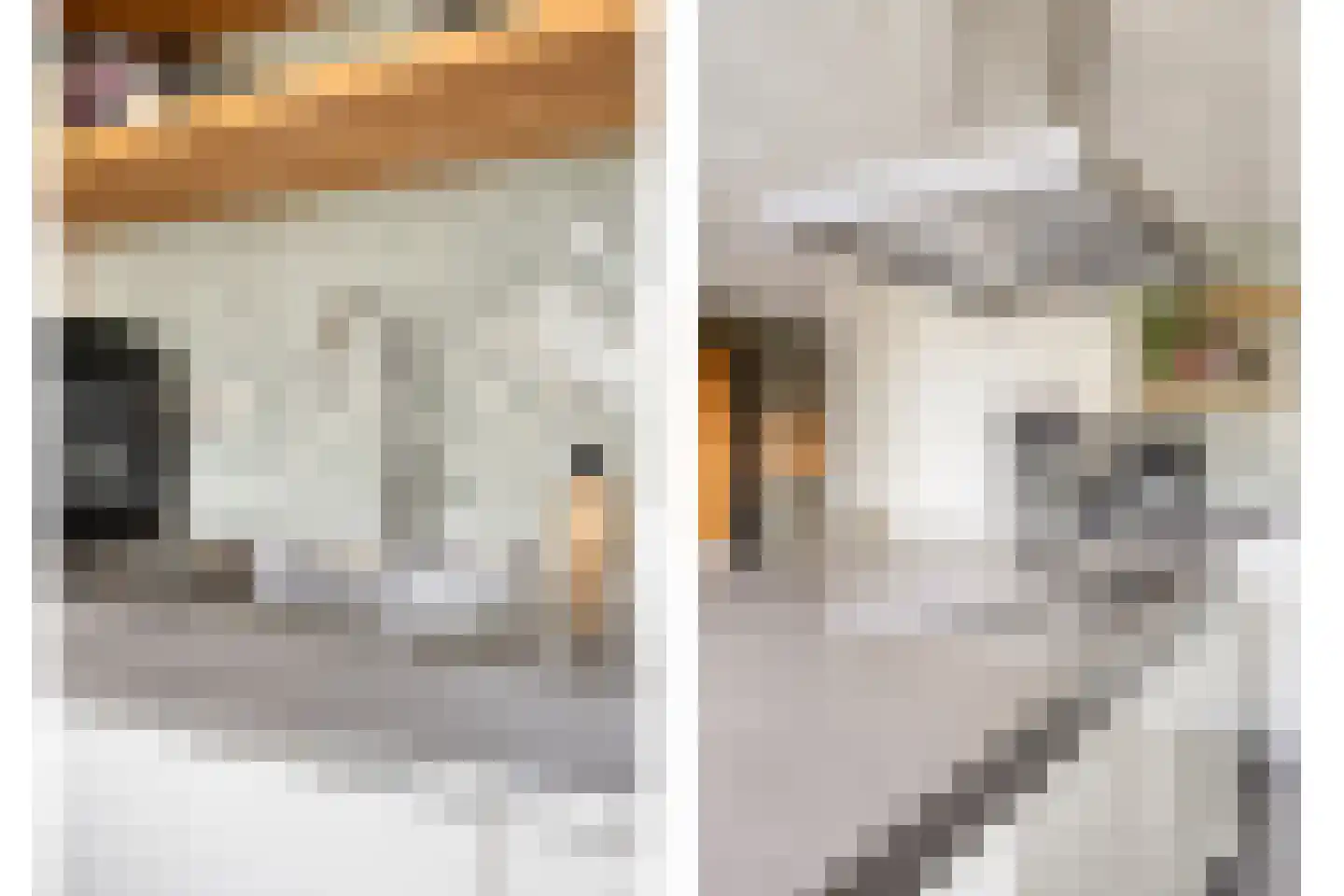Oosterbeekstraat 5 Tilburg thumbnail 13