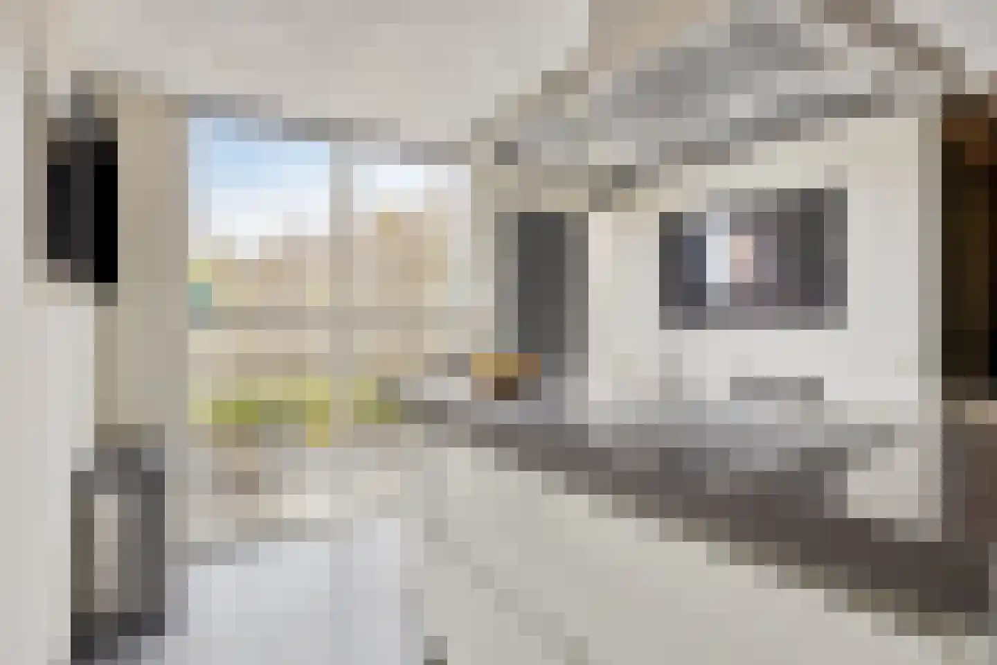 Oosterbeekstraat 5 Tilburg thumbnail 14
