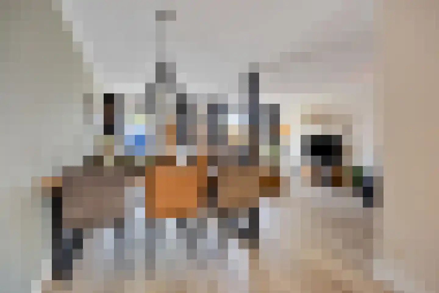 Oosterbeekstraat 5 Tilburg thumbnail 17