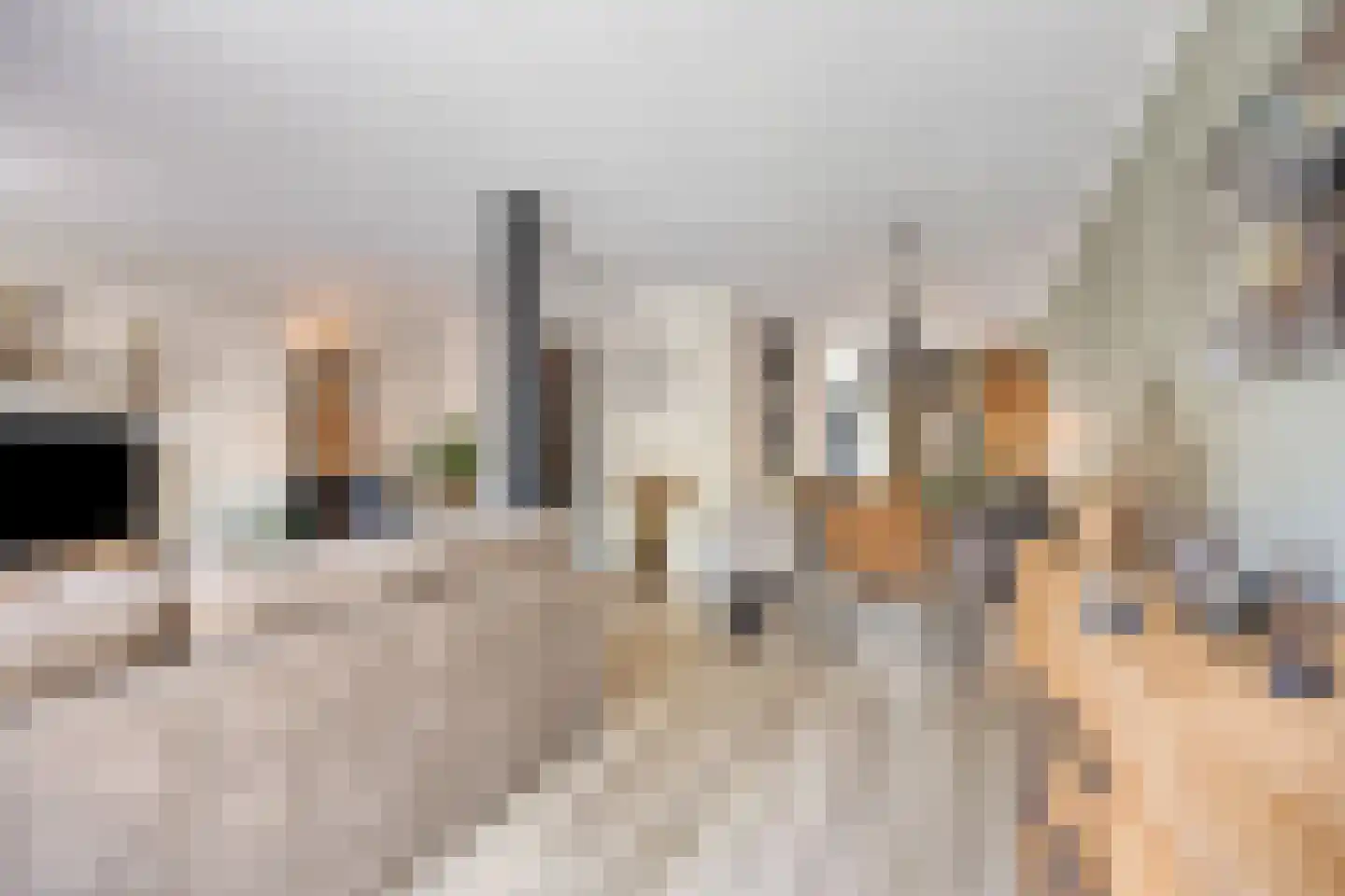 Oosterbeekstraat 5 Tilburg thumbnail 27