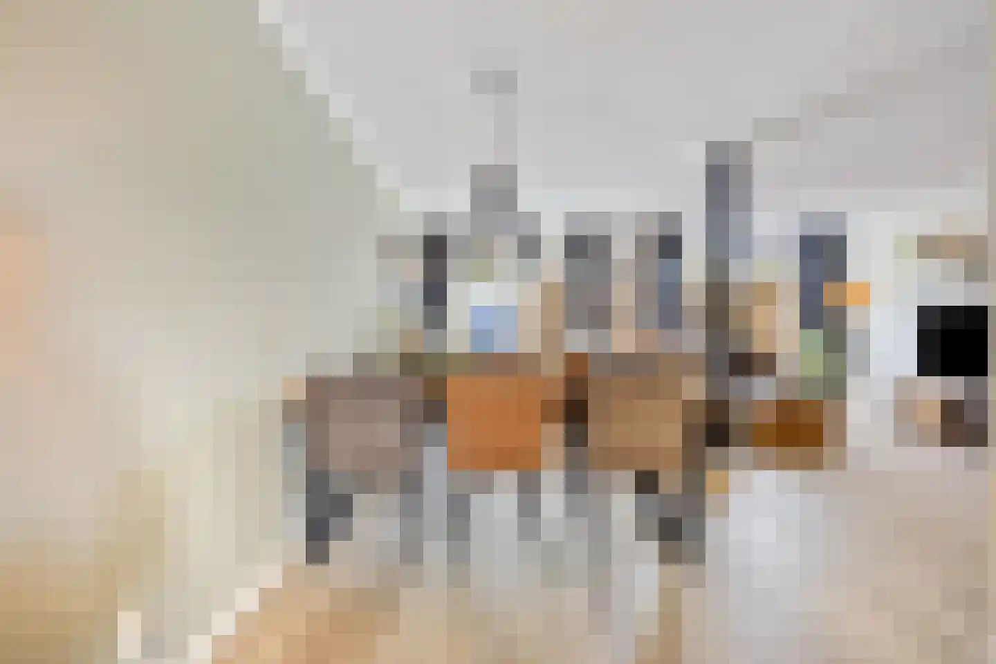 Oosterbeekstraat 5 Tilburg thumbnail 32