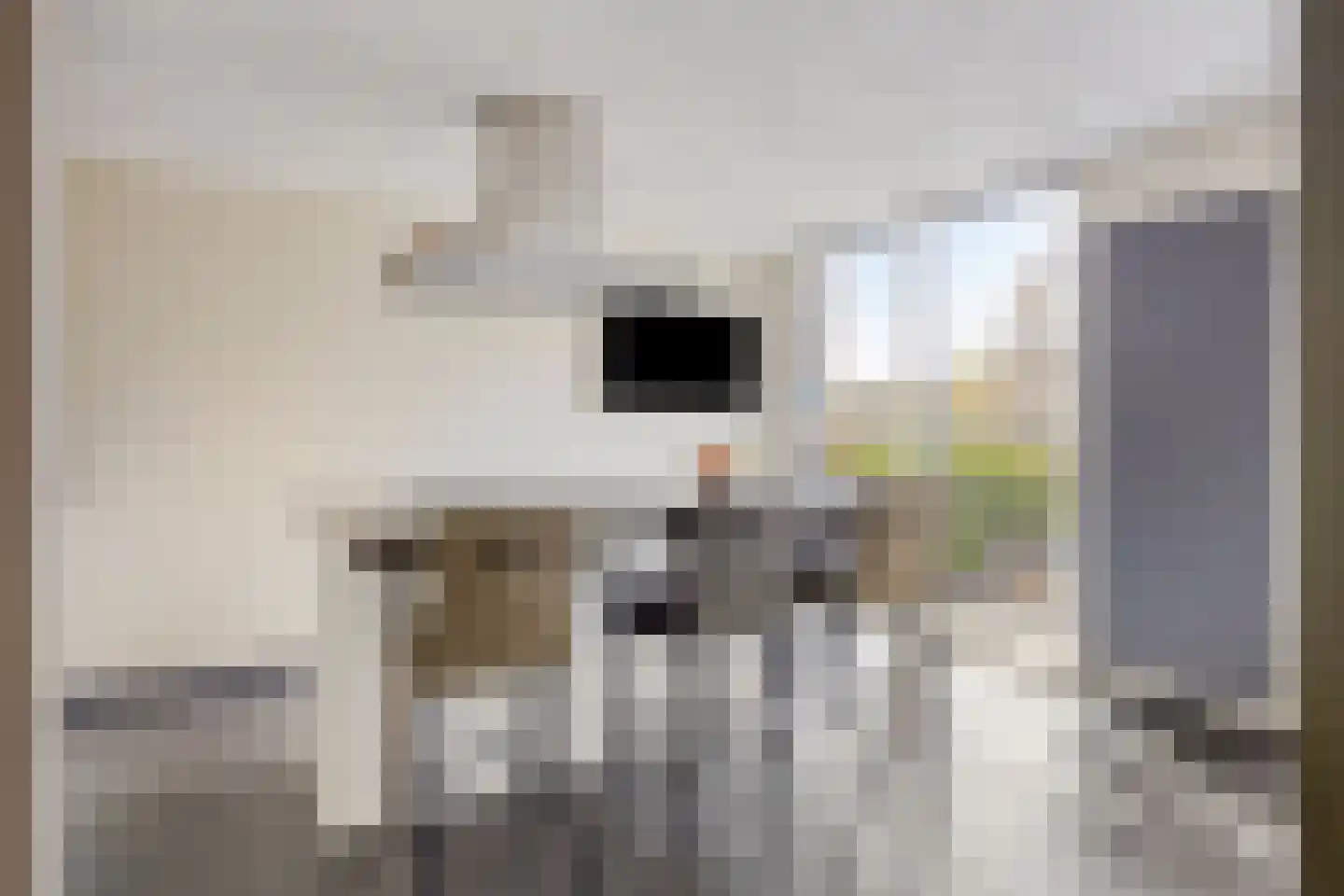 Oosterbeekstraat 5 Tilburg thumbnail 9