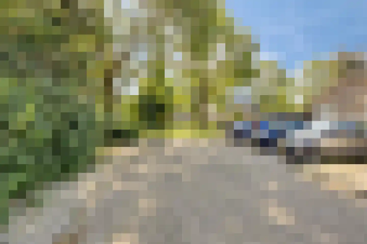 Oosterbeemd 51 Oosterhout thumbnail 30